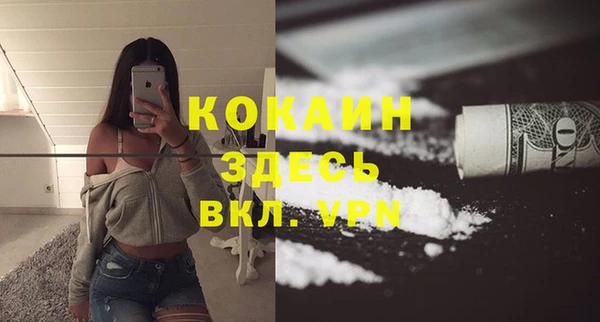шишки Нягань