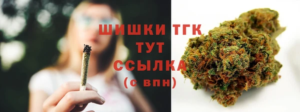 шишки Нягань