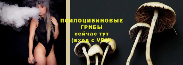 шишки Нягань