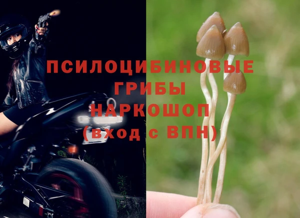 марки nbome Нязепетровск