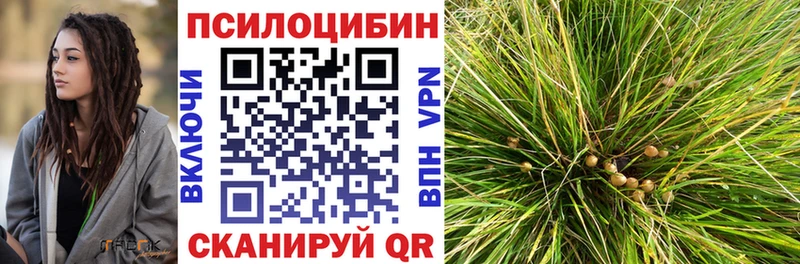 Псилоцибиновые грибы Magic Shrooms  купить   Азов 