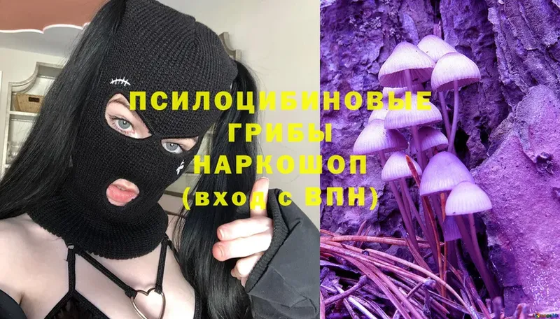 Галлюциногенные грибы Psilocybine cubensis Азов