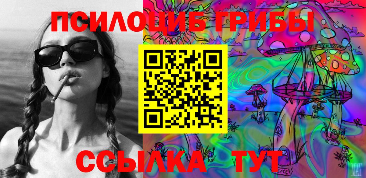 Галлюциногенные грибы Psilocybe  Вход с VPN  как найти   Галлюциногенные грибы прущие грибы  Азов 